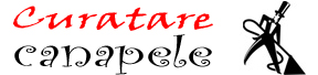logo curatare canapele Bucuresti